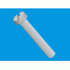 Slotted cheese head screw [536] (536032000002)