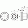 Nut cap [035] (035081611303)