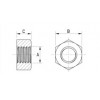 Tranparent nut PC [170-1] (170000300022)