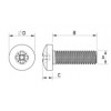Pan head machine screw metal DIN 7985 [342-m] (342051240952)